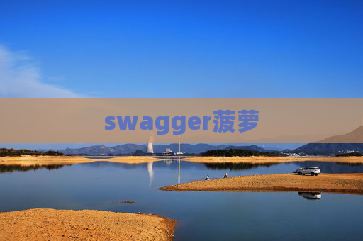 swagger菠萝 swagger菠萝